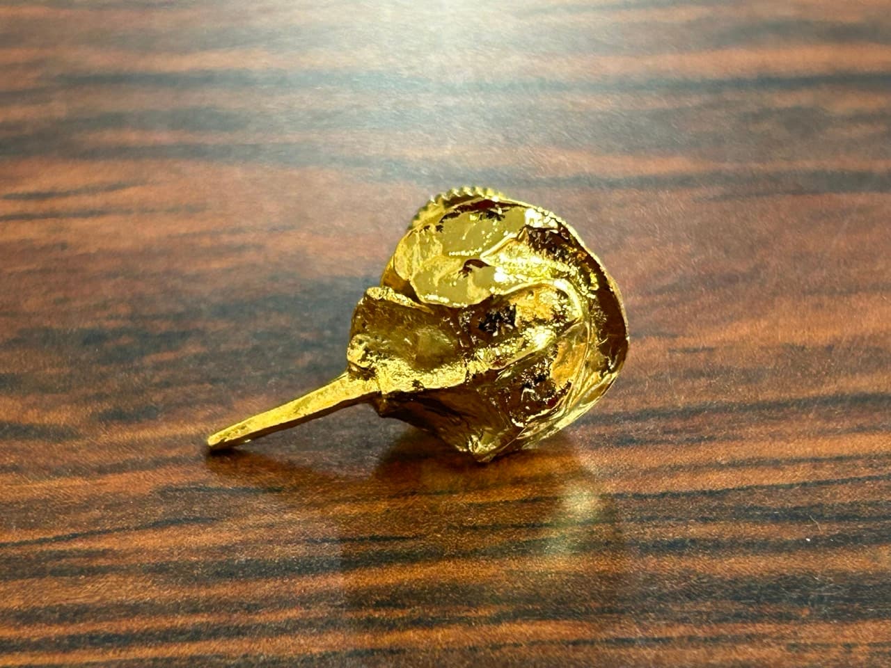 カブトガニバッジ